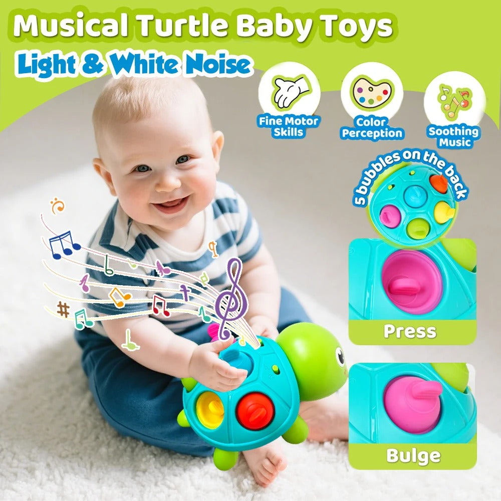 Muzikale Kruipschildpad | Kruip er snel achteraan