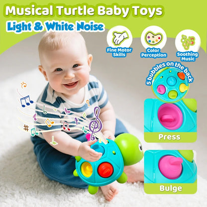 Muzikale Kruipschildpad | Kruip er snel achteraan